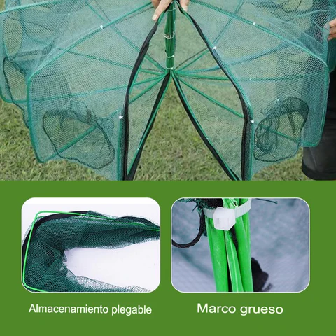 Trampa para peces plegable color verde con diseño de apertura automática tipo sombrilla, malla resistente y estructura metálica reforzada.