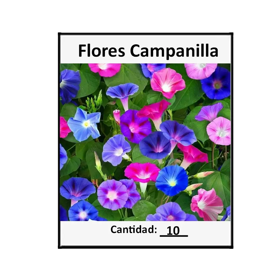 Empaque de semillas de flores campanilla variadas con diez coloridas flores en tonos azules, morados y rosados para jardín.
