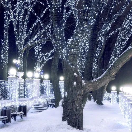 Luces LED blancas decorando ramas de árboles y cercas en un paisaje nocturno nevado, creando un ambiente navideño brillante y festivo.