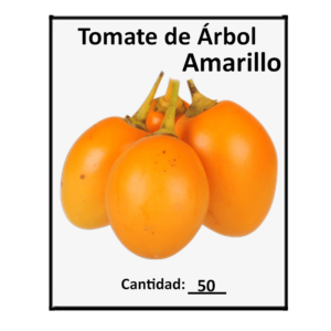 Set de tres semillas de tomate de árbol amarillo, frutas frescas, lisas y ovaladas con tallos verdes, listas para cultivo en huerta casera.
