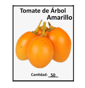 Set x3 Semillas de Tomate de Árbol Amarillo Solanum betaceum - Cosechas frutos frescos y jugosos en tu huerta casera