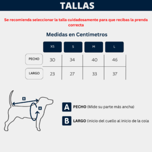 Camiseta para perro pequeño con diseño de osito y rayas - abriga a tu mascota con total comodidad en días fríos