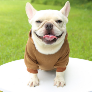 Hoodie Marrón-Ropa Mascota