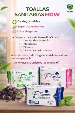 Set x2 Toallas Higienicas - Protectores