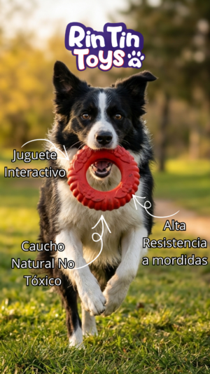 Set x2 Aro de caucho natural para perro Virgo Talla S - Cuida su salud dental mientras juega