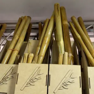Kit de 8 varitas de bambú natural en organizador de madera, para masajes reductores y descontracturantes.