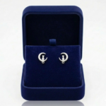 Aretes plateados de acero inoxidable con diseño de gato en luna creciente, presentados en un estuche de terciopelo azul.