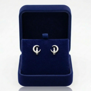 Aretes plateados de acero inoxidable con diseño de gato en luna creciente, presentados en un estuche de terciopelo azul.