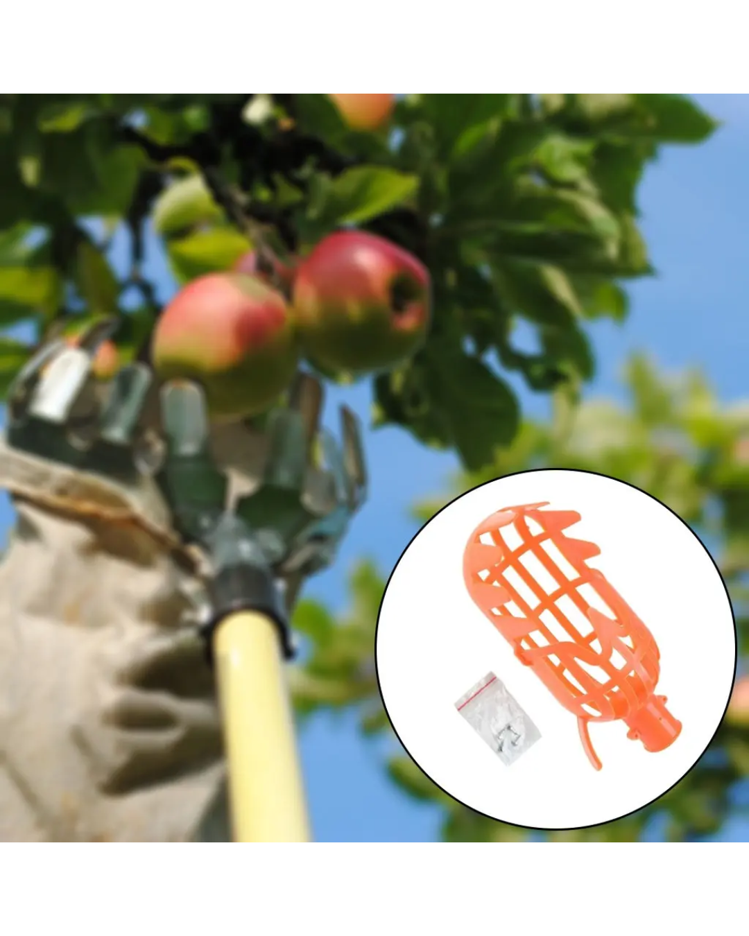 Cesta recolectora de fruta naranja con dientes integrados en el borde superior, acompañada de tornillos de fijación, utilizada para cosecha en altura.