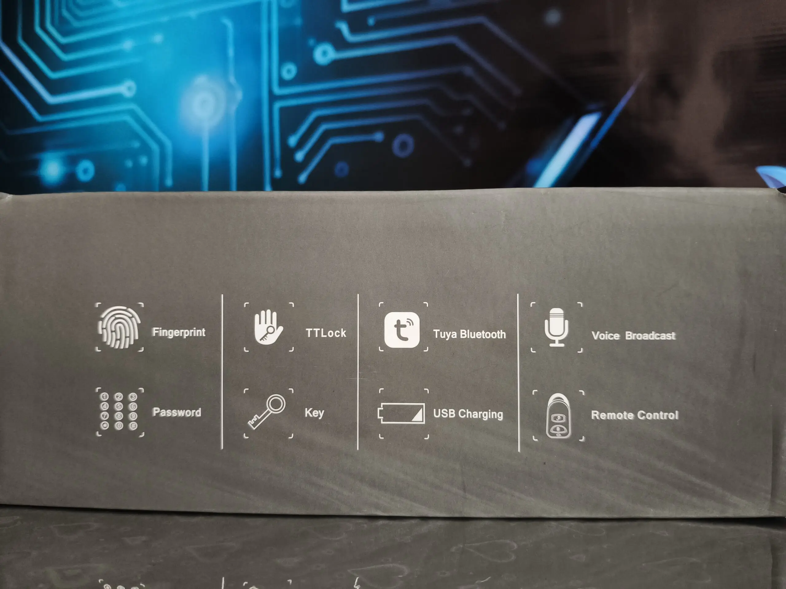 Caja gris de cerradura inteligente biométrica con iconos blancos de huella, contraseña, TTLock, Tuya Bluetooth, llave, USB, voz y control remoto.