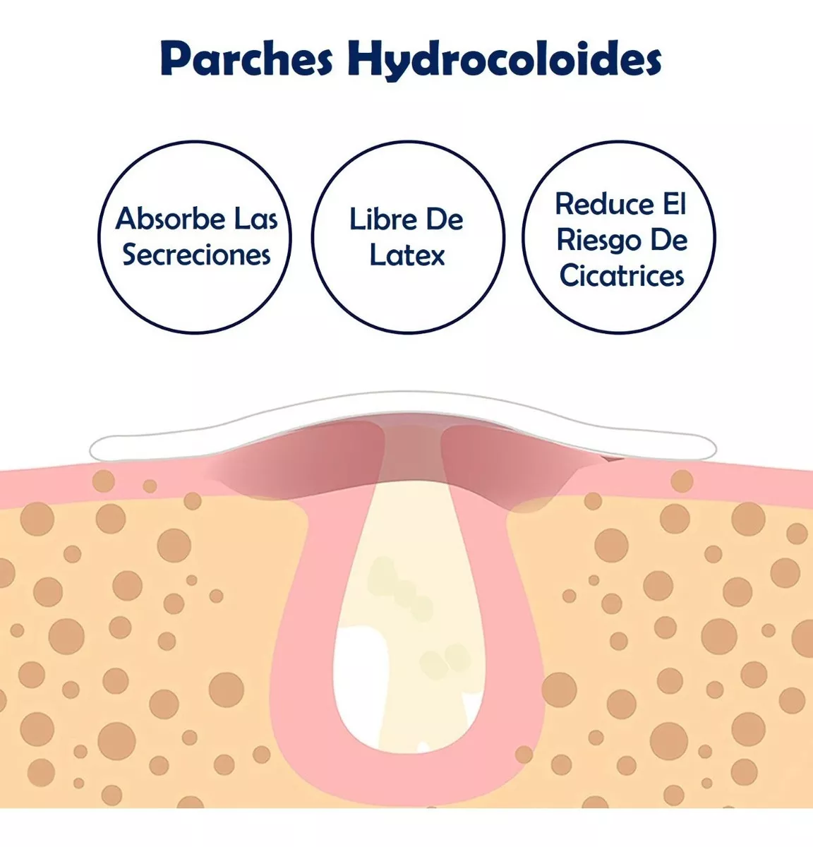 Parches Hidrocoloides para Imperfecciones PanOxyl 40 Unidades - Absorben el exceso de grasa y protegen la piel - Imagen 2