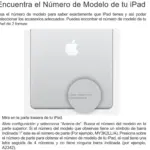 Guía visual para localizar el número de modelo en la parte trasera de un iPad, mostrando la ubicación del código alfanumérico grabado en el dispositivo.