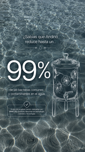 Set x2 Repuesto Vela Purificadora Cerámica Andino para Filtro de Agua - Elimina bacterias y sedimentos para proteger tu salud