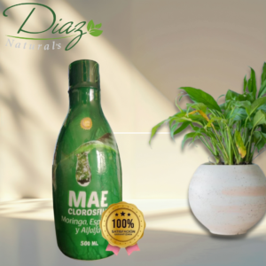 Botella verde translúcida de clorofila líquida de 500 mililitros con extractos de moringa y espinaca sobre fondo beige junto a planta en maceta