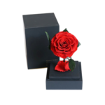 Rosa preservada natural en cúpula acrílica decorativa - Decora tu hogar u oficina durante años sin mantenimiento - Imagen 3