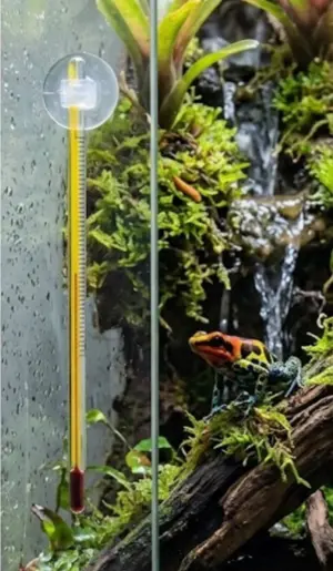 Set x2 Termómetro de Vidrio para Acuario y Terrario con Ventosa - Controla la temperatura exacta para proteger tus peces y reptiles
