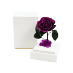 Rosa preservada natural en cúpula acrílica decorativa - Decora tu hogar u oficina durante años sin mantenimiento - Imagen 4
