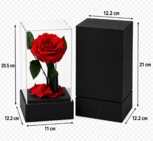 Rosa preservada natural en cúpula acrílica decorativa - Decora tu hogar u oficina durante años sin mantenimiento
