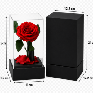 Rosa roja preservada con tallo verde en cúpula acrílica transparente sobre base negra y caja de regalo de 12.2 por 11 y 20.5 cm.