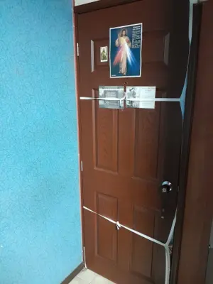 Forro de Puerta Del America