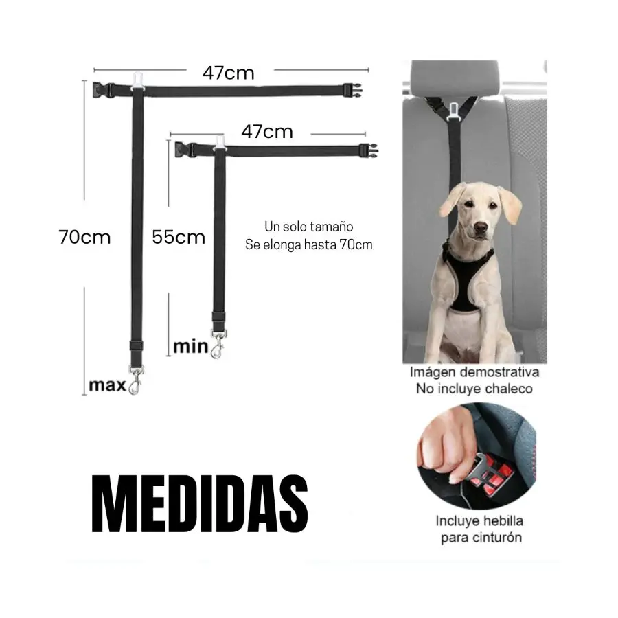 Correa de seguridad negra para perro con anclaje al reposacabezas, extensible de 55 cm a 70 cm y 47 cm de ancho.