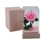Rosa preservada natural en cúpula acrílica decorativa - Decora tu hogar u oficina durante años sin mantenimiento - Imagen 2