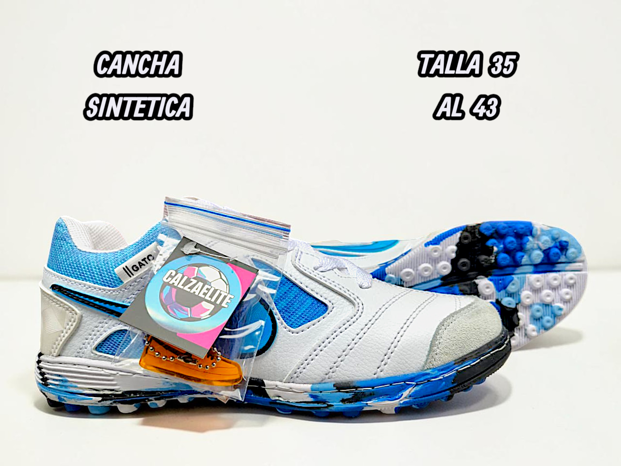 Gato Blanca Rey Torretin