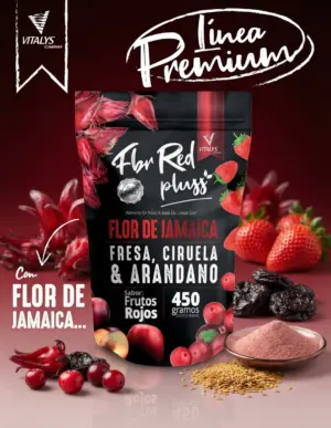 Set x2 Bebida en polvo de linaza con flor de jamaica y frutos rojos 450g - Mejoras tu tránsito intestinal y disfrutas antioxidantes naturales