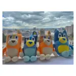 Set de 4 peluches suaves de Bluey y su familia sentados en fila frente a una ventana con vista a la ciudad.