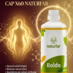 Set x2 Extracto de Boldo Naturfar 60 Cápsulas - Mejora la digestión pesada - Imagen 3